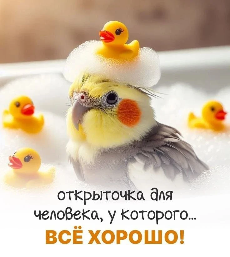 ОТКРЫТКИ