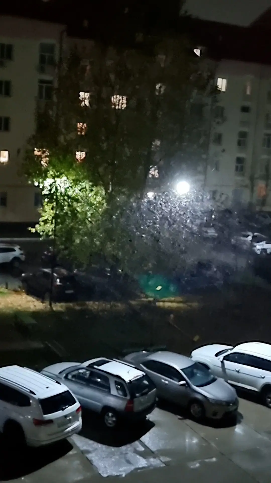 Вчерашний день...