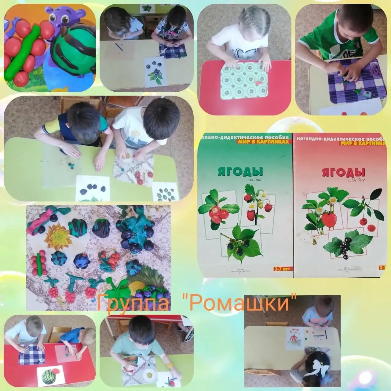 В лесу — черника и малина,