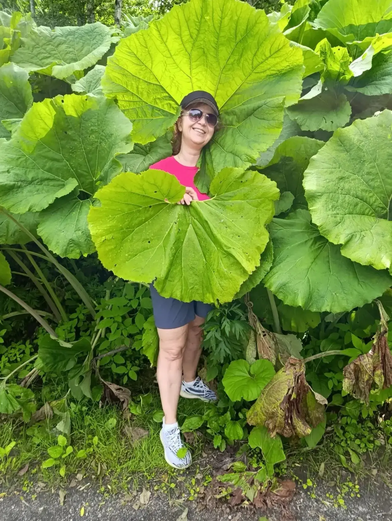 🌿 Лето — время перезагрузки!