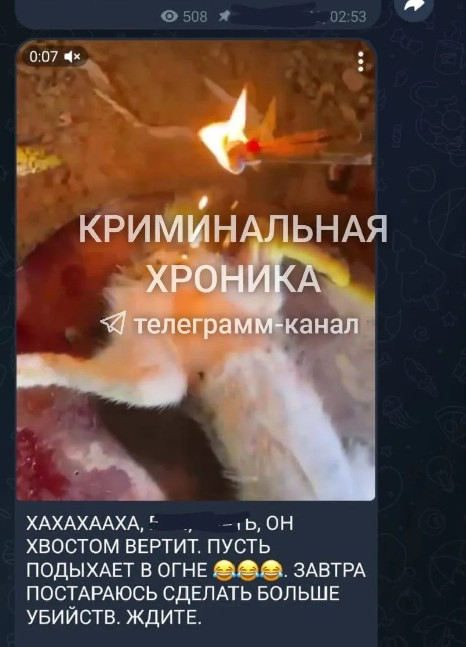 В Дагестане полицейские разыскивают мужчину, подозреваемого в жестоком обращении с животными. 

Судя