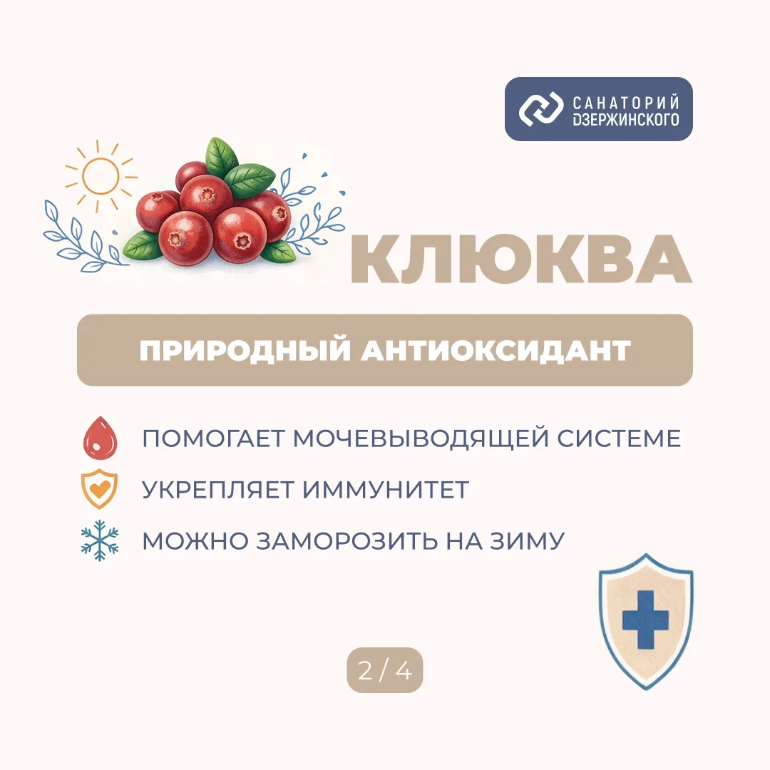 Помните, бабушка говорила: «Ешь, пока есть, — зимой такого не найдешь»? И протягивала к...