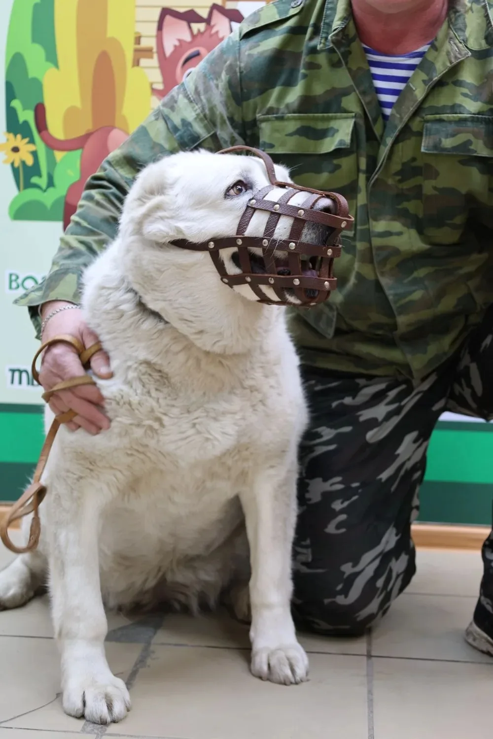 😱 От скелета с огромной опухолью до грозной хозяйки вольера! Новая жизнь алабая Маруси! 🐕😍  Почти го