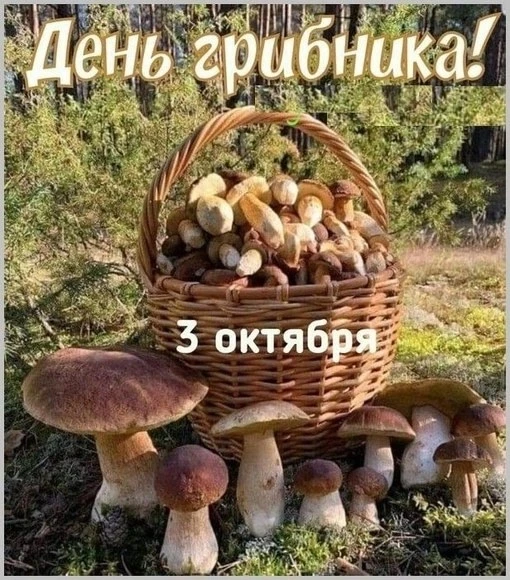 3 октября