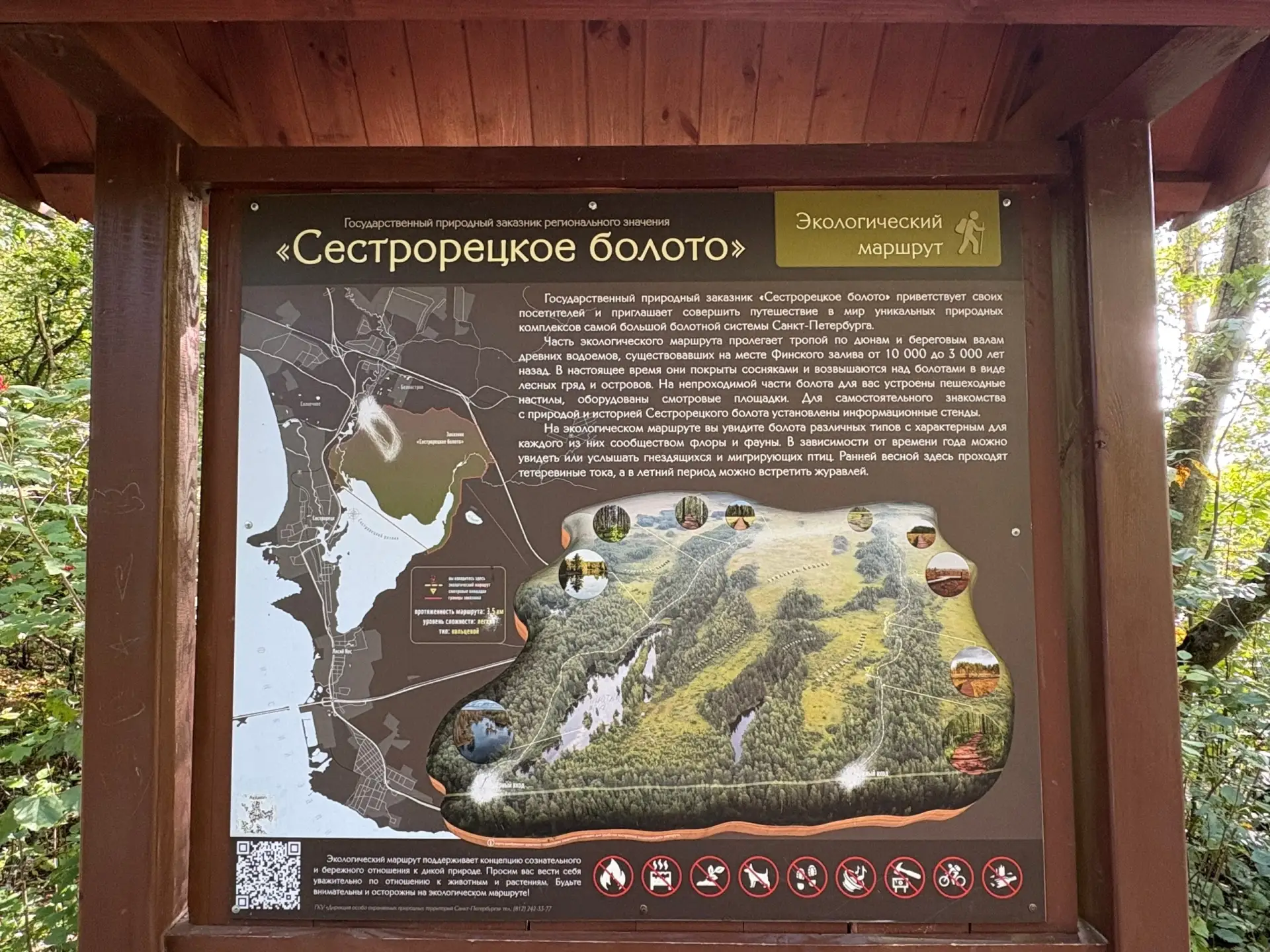 Проспект Ветеранов | Ульянка | Санкт-Петербург🏡