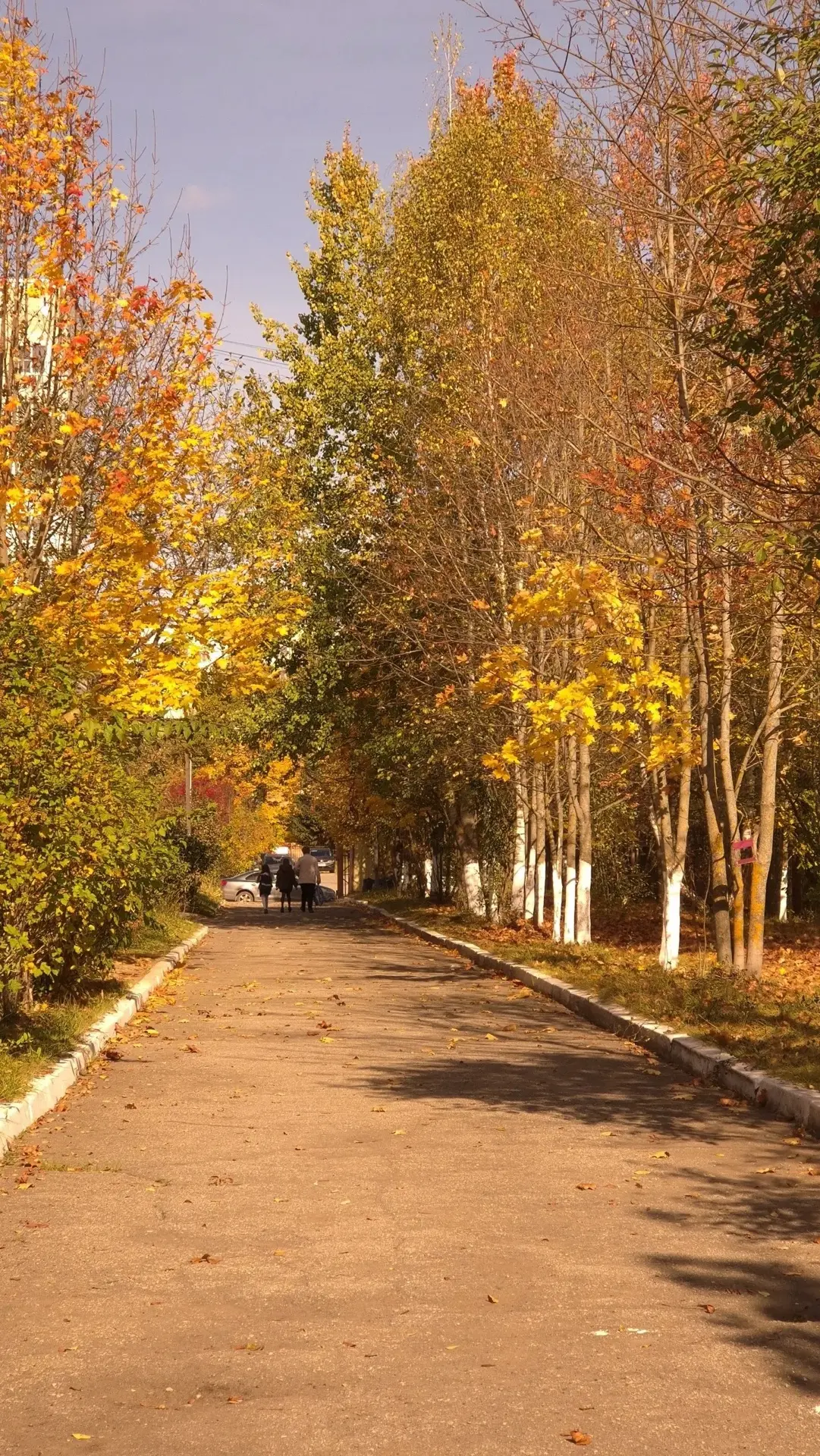 Осенний вайб северного❤️