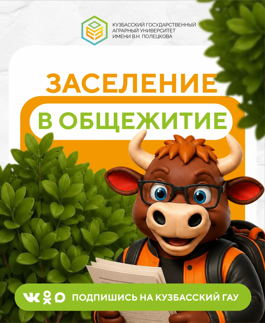 Внимание, первокурсник!