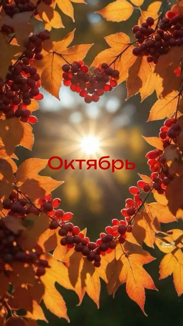 🍁 Октябрь 2026 года станет для многих знаков зодиака месяцем перемен, новых осознаний ...