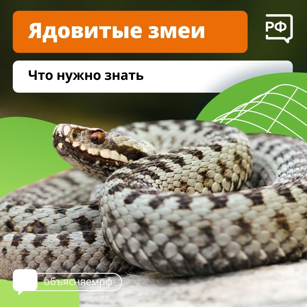 #Безопасность