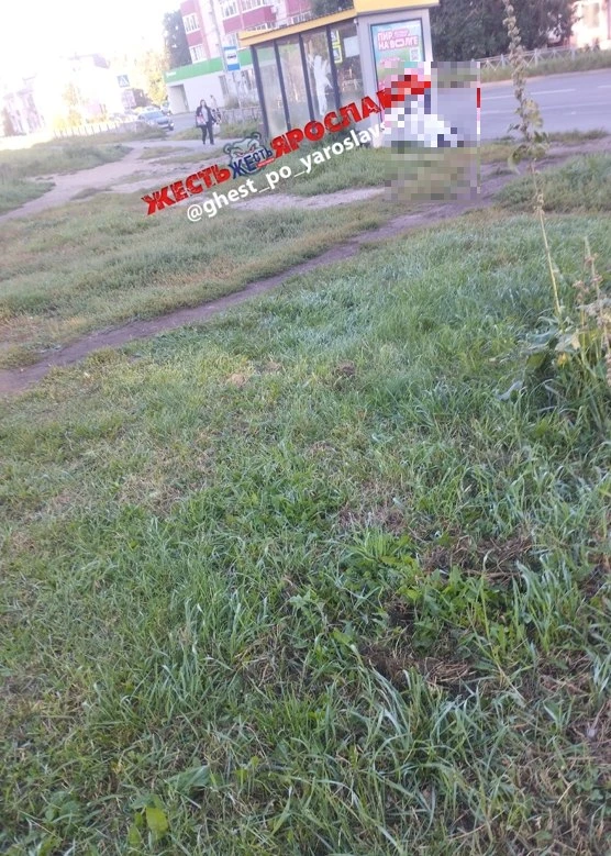🚓 В Красноперекопском районе на остановке нашли мёртвого мужчину