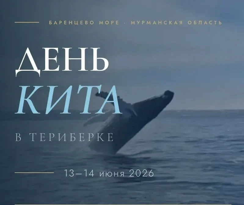 Северян ждут в Териберке на День кита

Праздник пройдет уже в эти выходные. 

Сейчас в группе проект