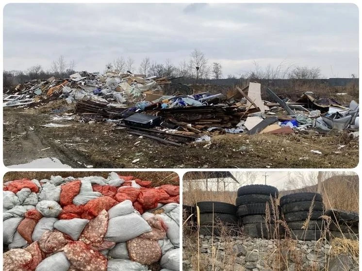 На Заячьем полуострове вывезли 37,5 тонны мусора.

Несанкционированная свалка была обнаружена в водо