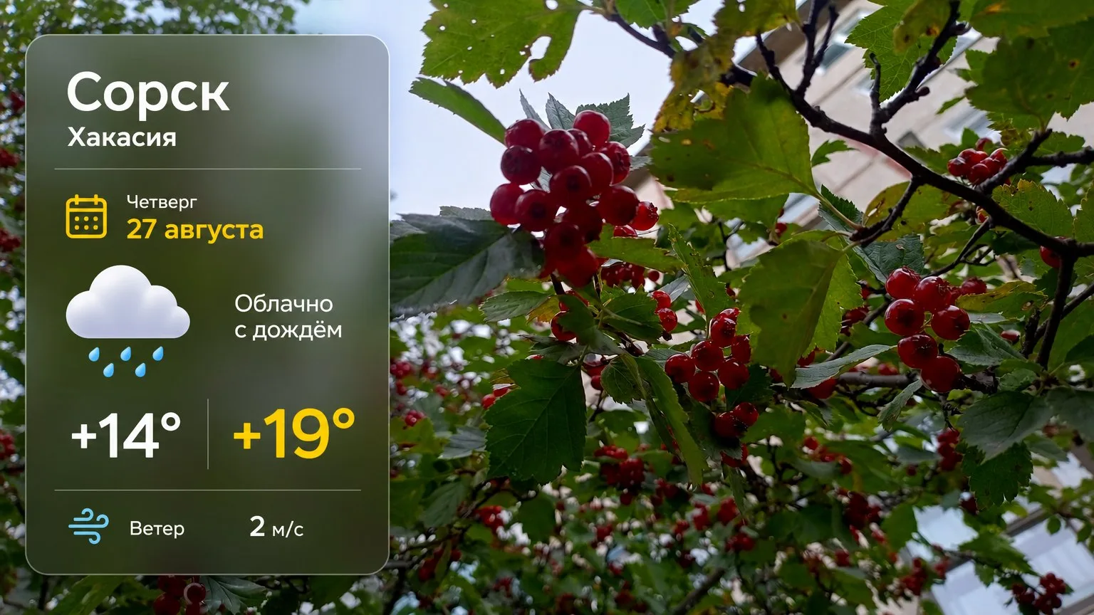 Доброе утро, Сорск!