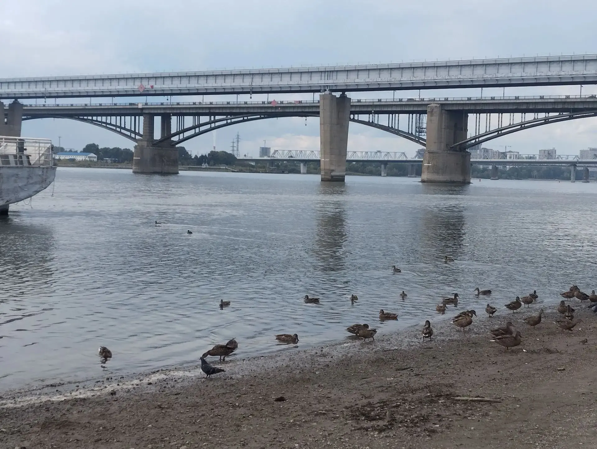 Прогноз погоды