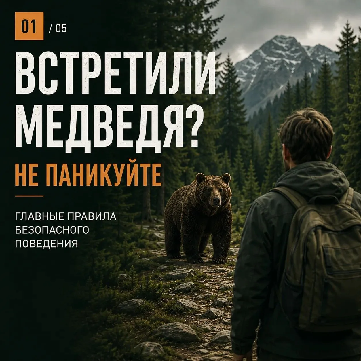 Встретить медведя в лесу – ситуация, к которой лучше быть готовым заранее.