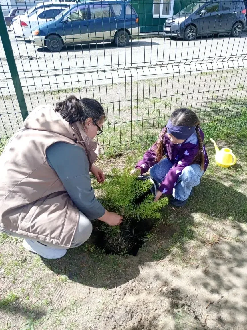 💚Сегодня в нашем детском саду🏡 прошла акция «Выпускники 🎓сажают деревья🌳🌲» — это не только вкла