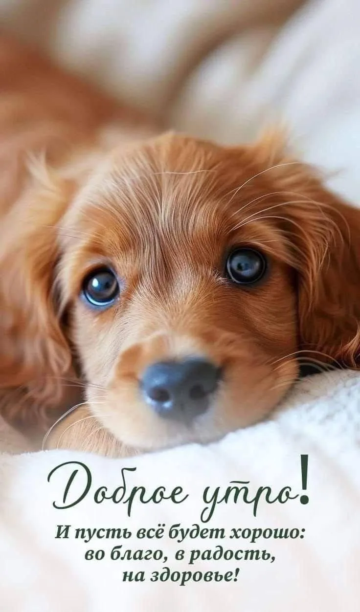 Женские открытки💝
