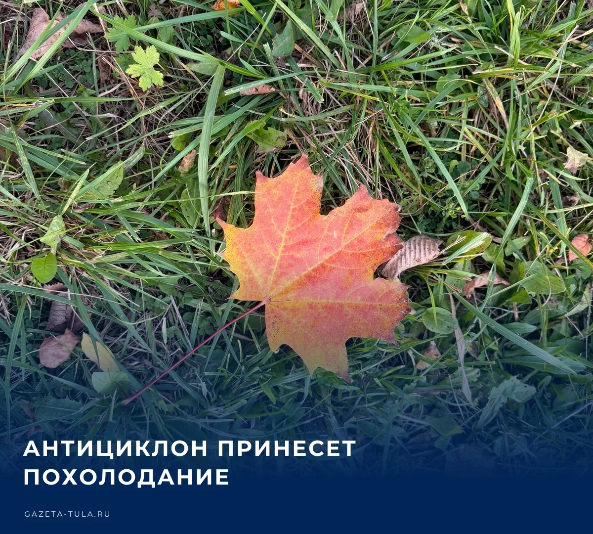 🌤️ Регион накрывает скандинавский антициклон, который постепенно меняет осеннее тепло ...