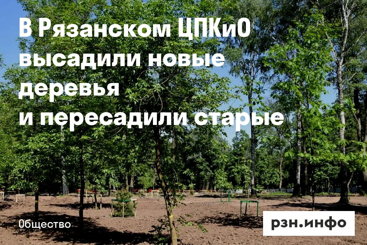 В Рязанском ЦПКиО высадили новые деревья и пересадили старые