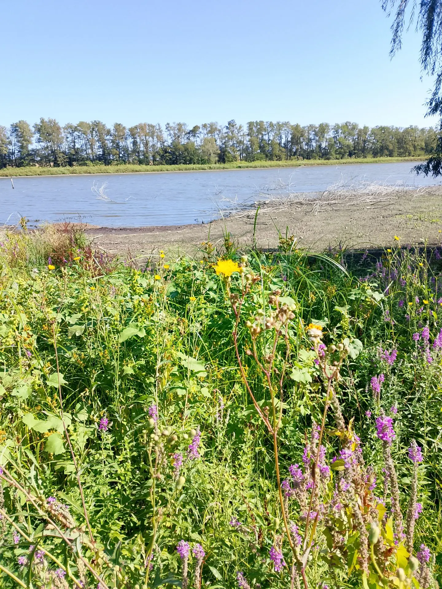 Спрашивали про цены на базе  отдыха "Поплавок ".