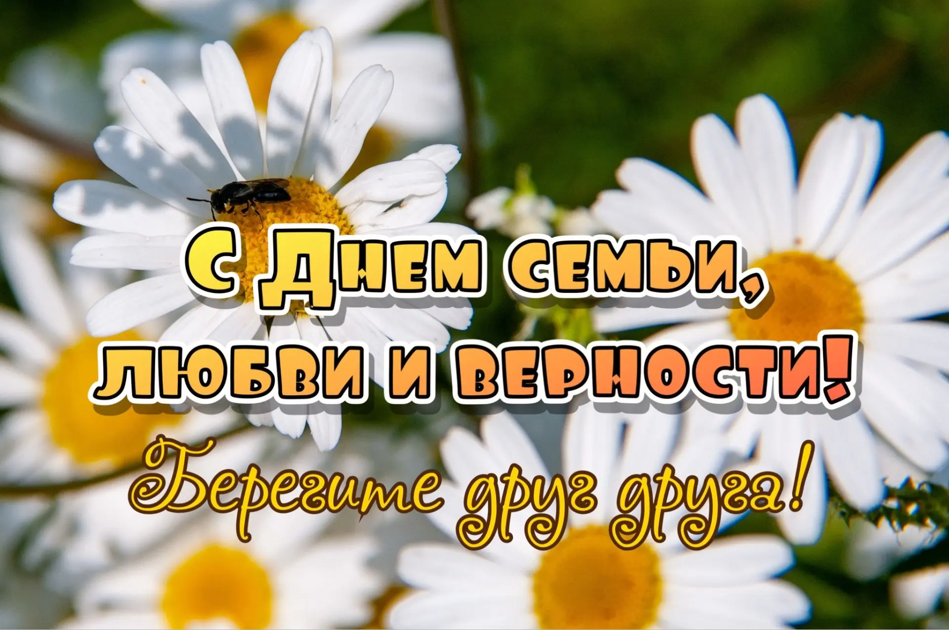 🌼 Дорогие родители и гости нашего сайта! 🌼