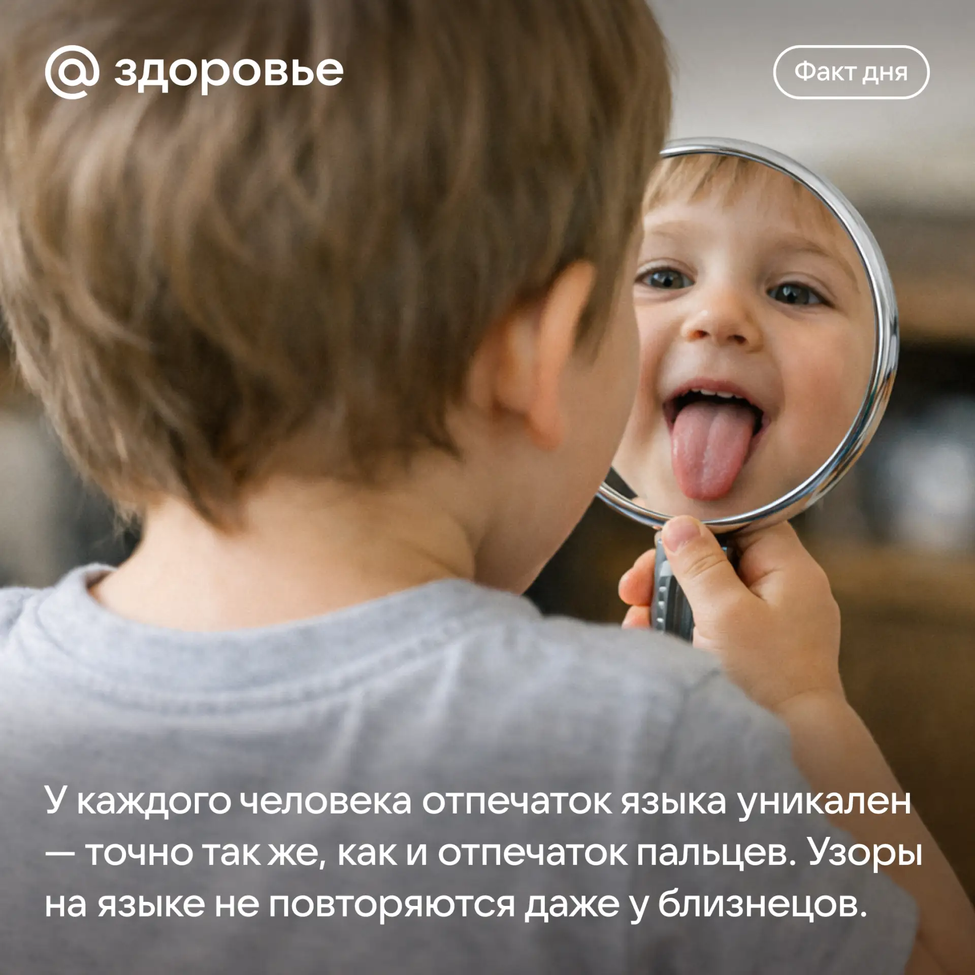 Хорошего дня! 😛