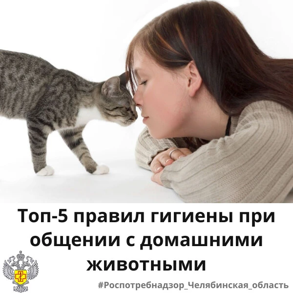 Многие люди заводят домашних питомцев. Однако, соседство с животными имеет свои нюансы....