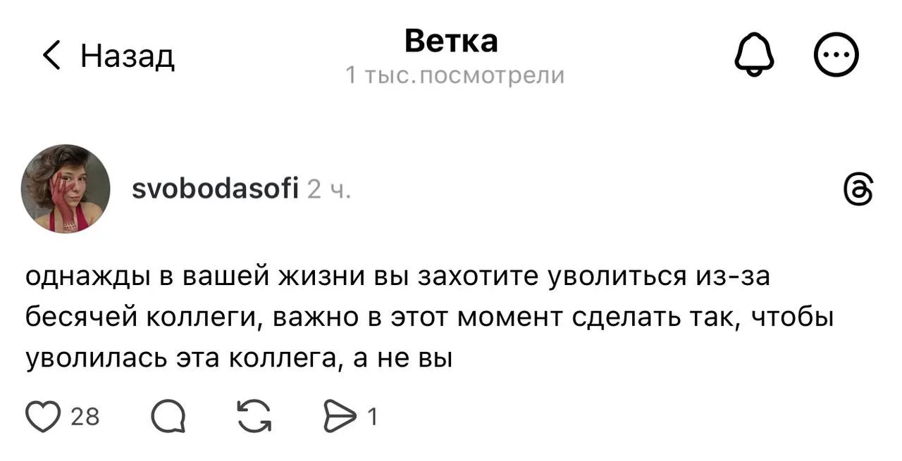 Правила джунглей 😀🙈