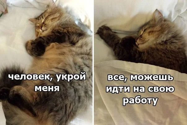 😂😂😂