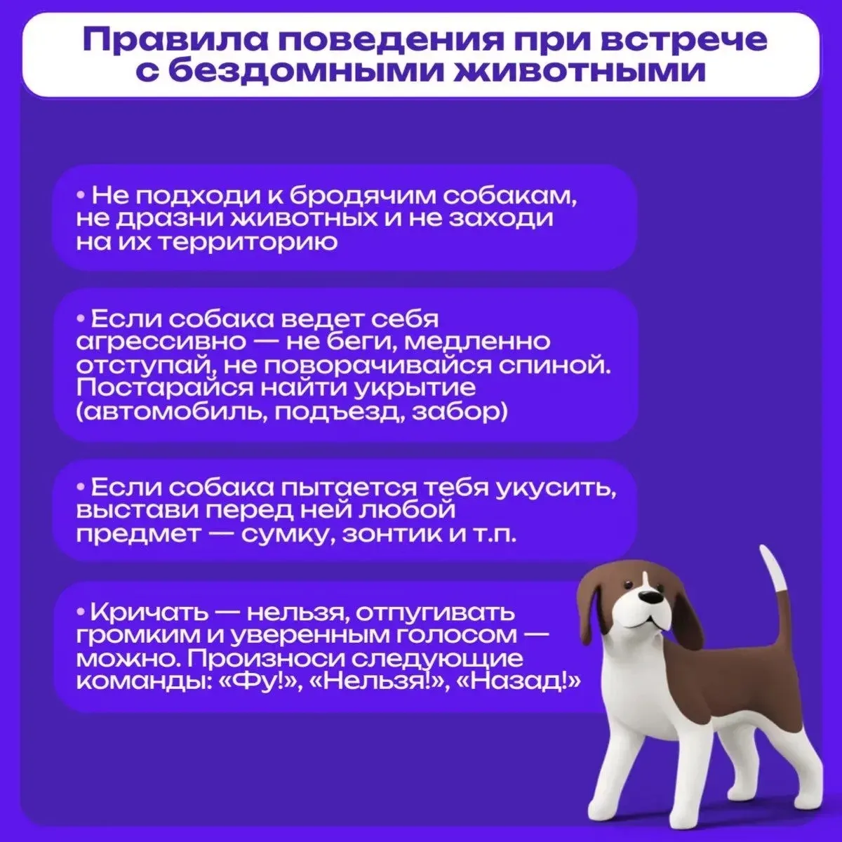 🍃 Весна зовёт на прогулку! Не забудьте о безопасности 🦶  Наконец-то тепло! Хочется гулять, встречать