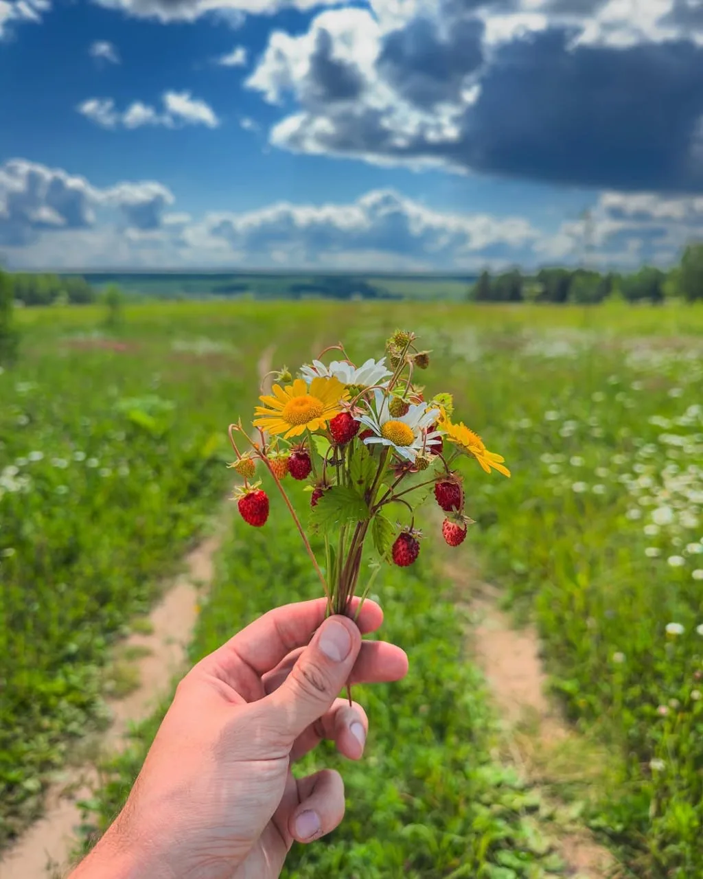 🌬Деревянный дом хранит прохладу, а за окном — бескрайние поля, уходящие в дымку горизо...
