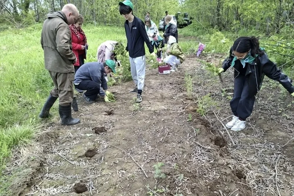 🌿Сад памяти🌿

Сегодня члены  школьного лесничества вместе с родителями и работниками Поронайского 