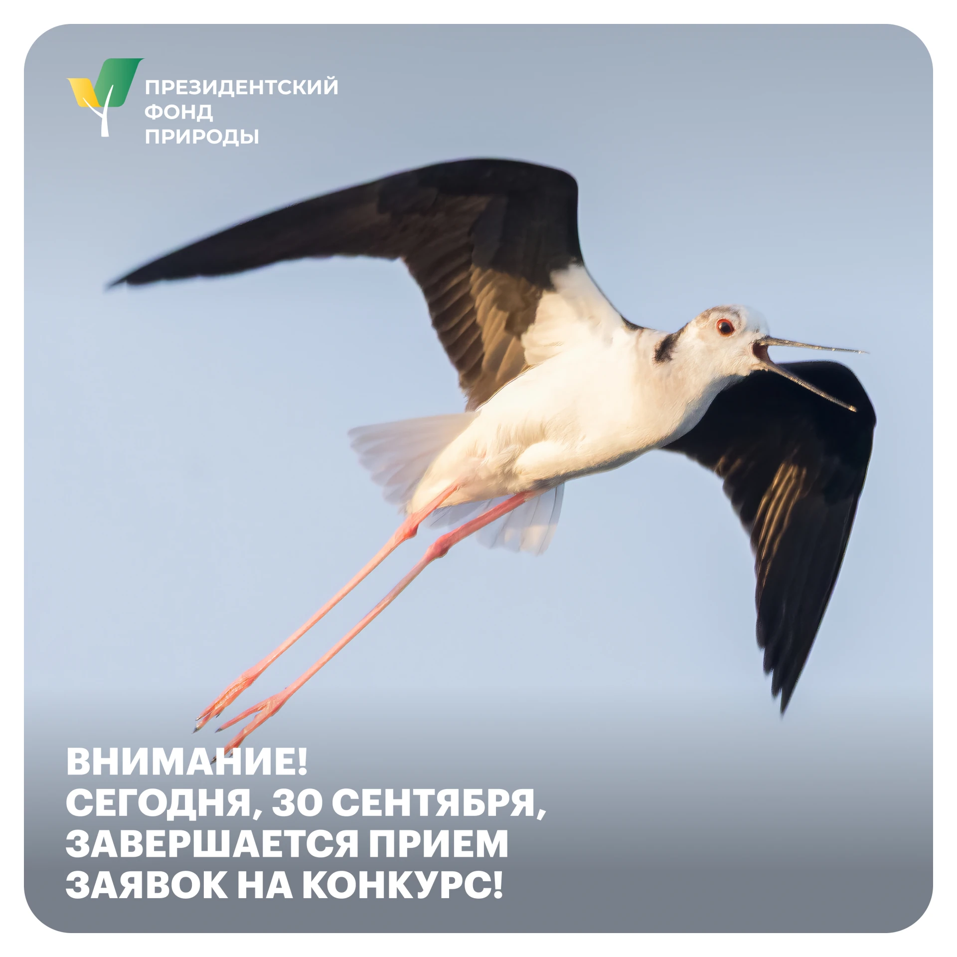 🛑 СРОЧНО! ВРЕМЯ НА ИСХОДЕ!