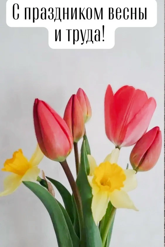 🌷Наши замечательные путешественники! С Первомаем нас всех!
