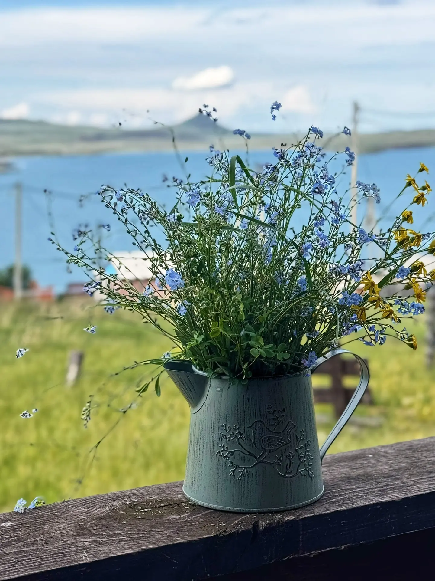 Вот такой у меня вид на лето ☀️