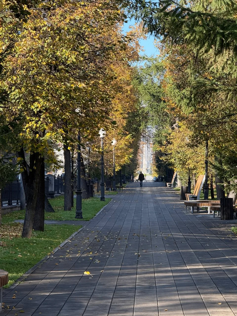 Золотая осень в Екатеринбурге 🍂