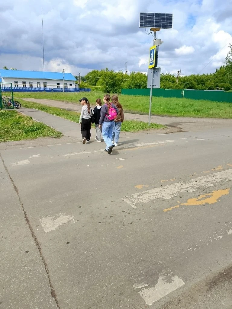 Каникулы с пользой! Дети из пришкольного лагеря "Мечта" МБОУ "СОШ №8 г. Нурлат" провели...