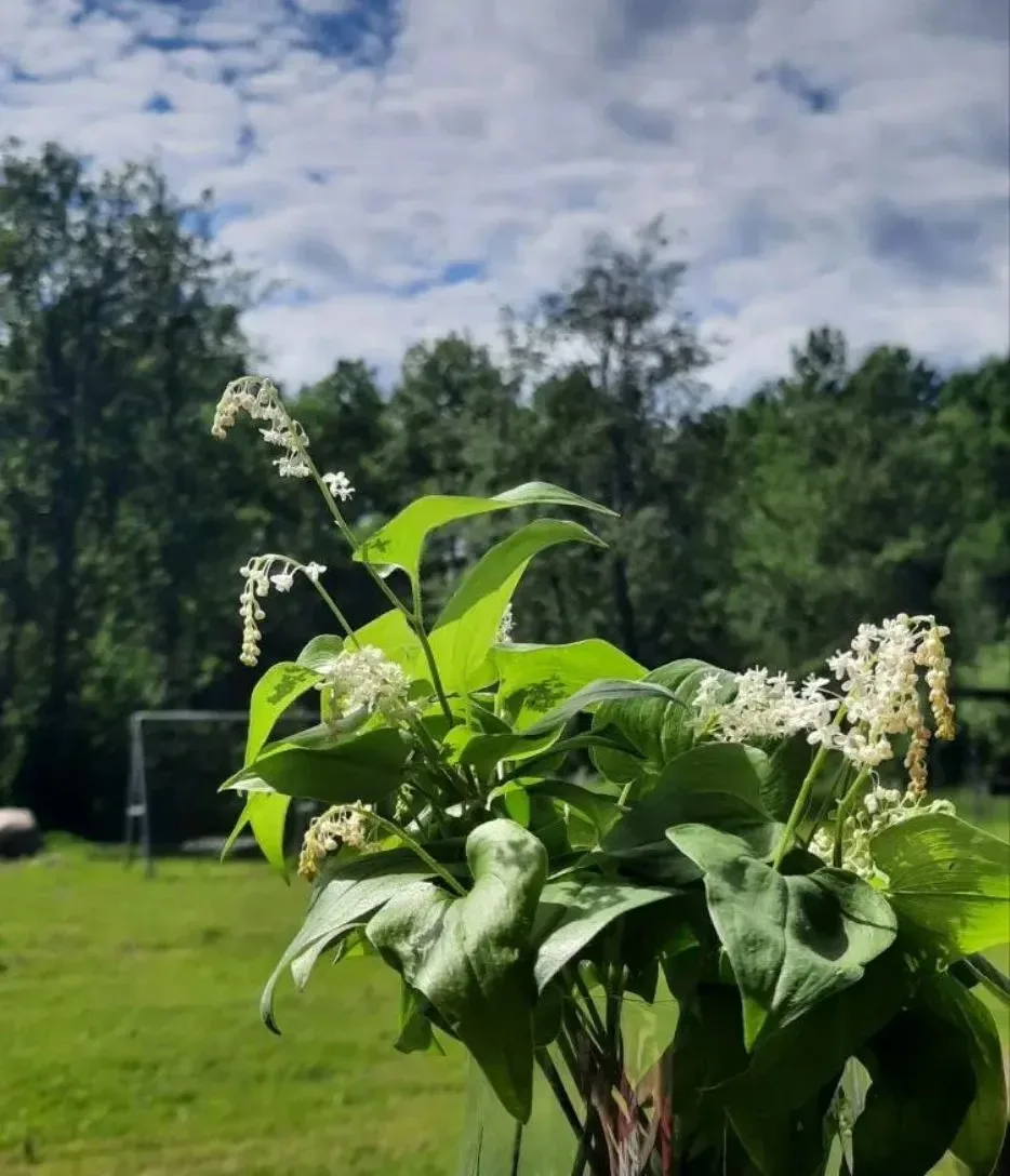 Лето 🌞