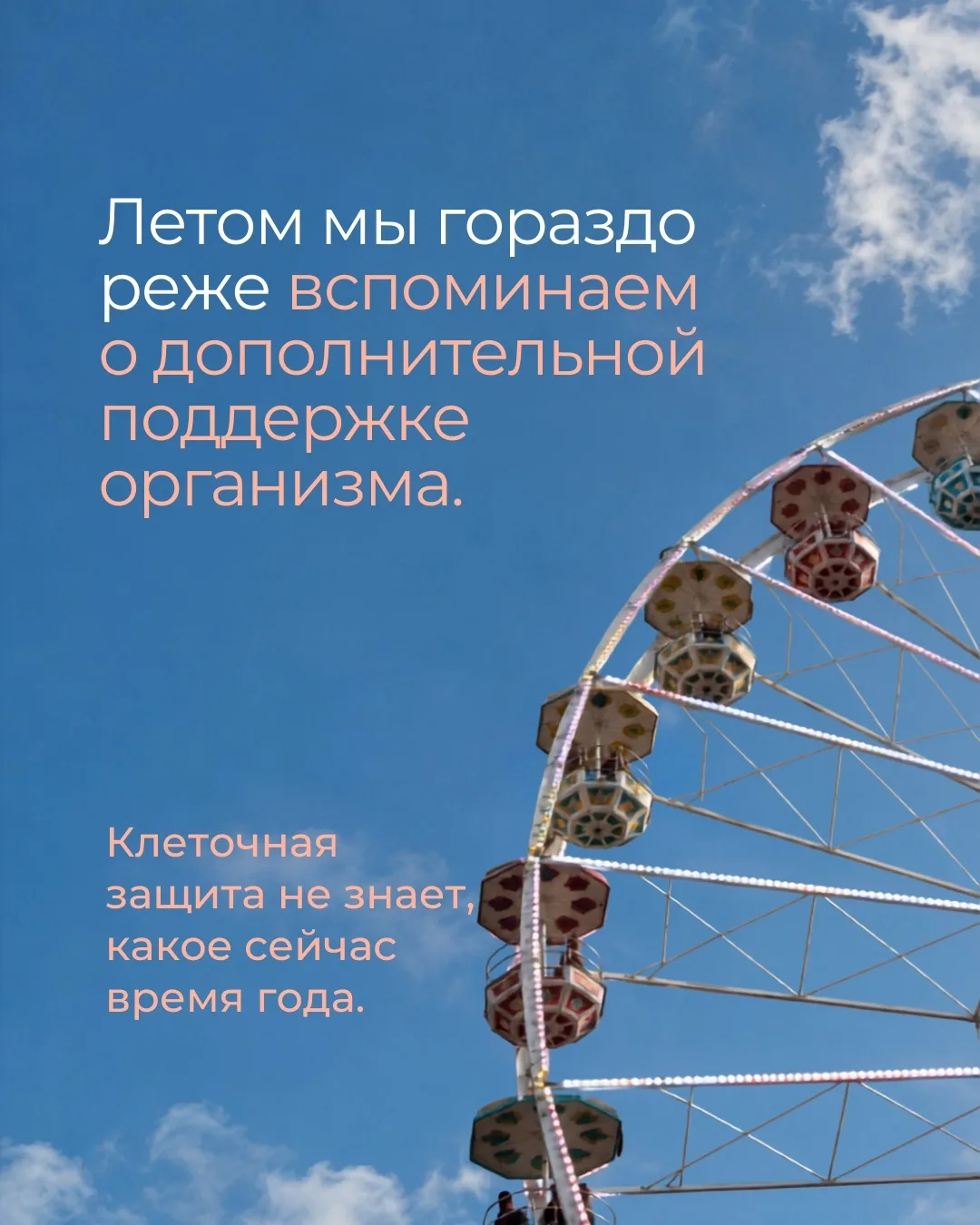 Летом мы убираем тёплые вещи подальше. Нужно ли отправлять  туда же нутрицевтики?