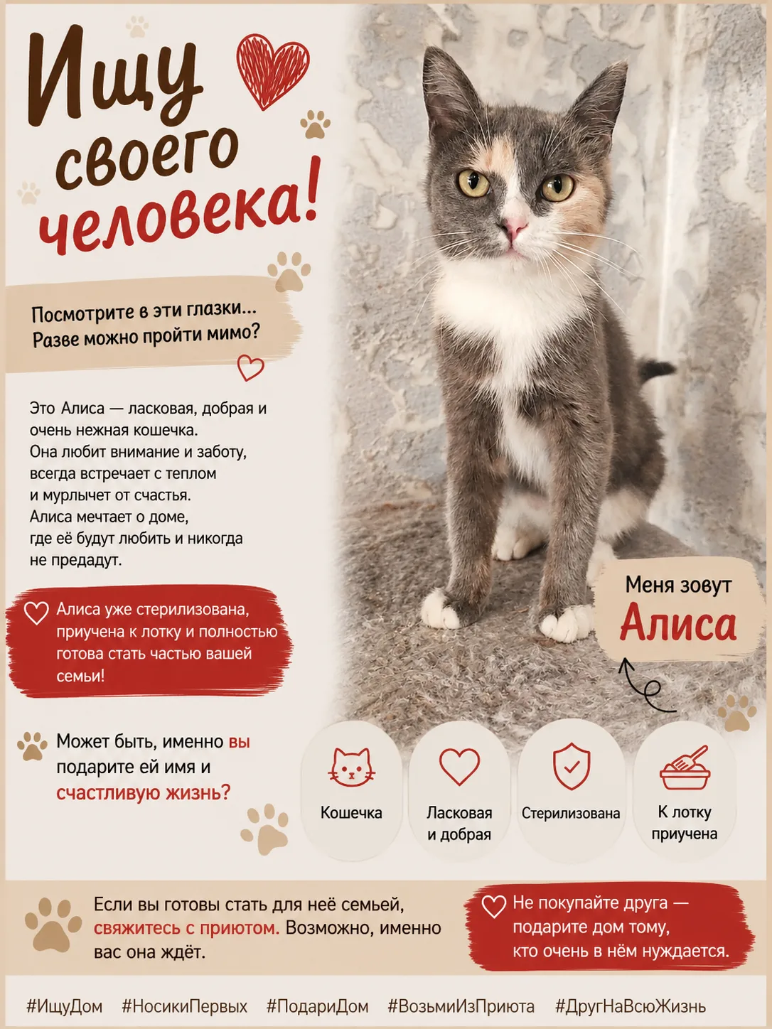 🐾❤️ А мы продолжаем публиковать карточки животных из приюта «Подари надежду»… ❤️🐾

Каждая новая ка