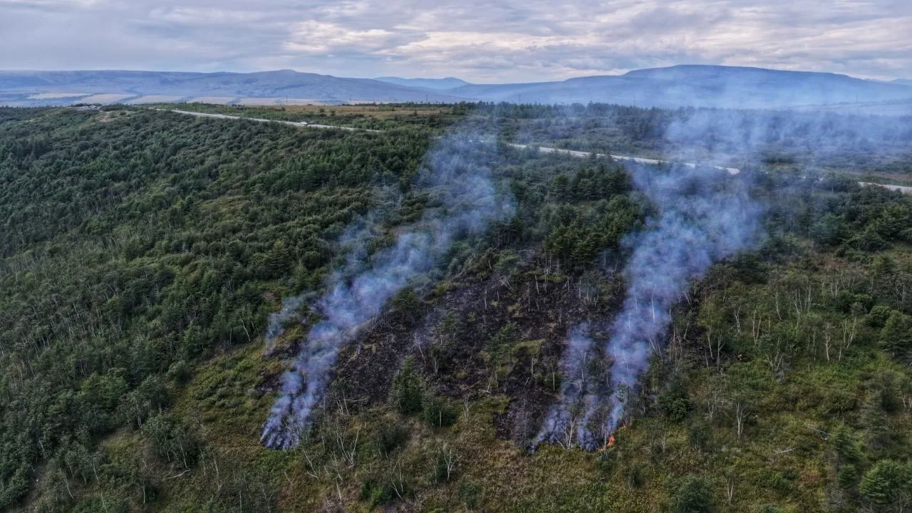 ❗️Видео и фото с места леcного пожара в районе Нюкли от Юлии Егоровой