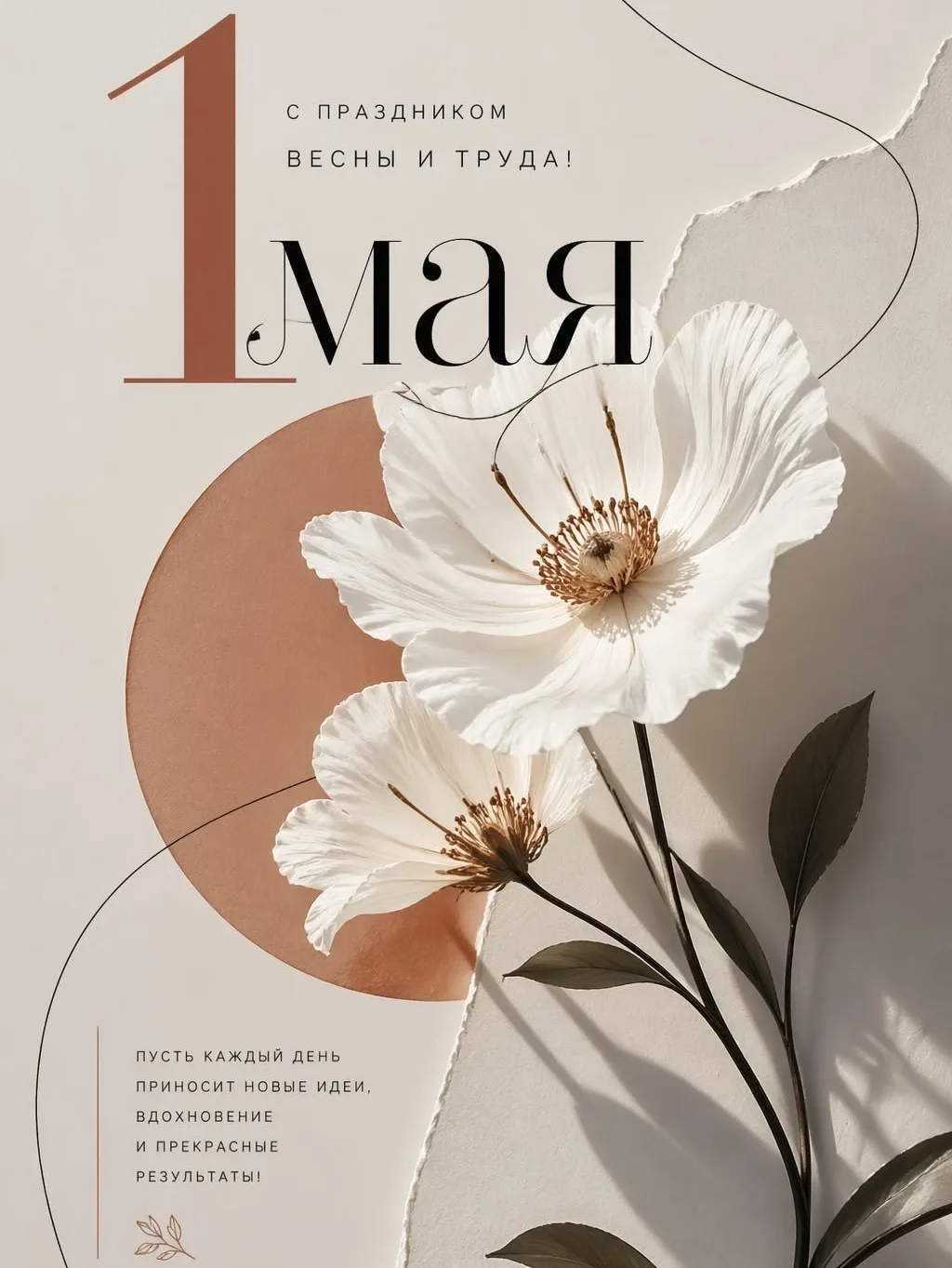 С первым днём мая, мои дорогие🕊️🌸