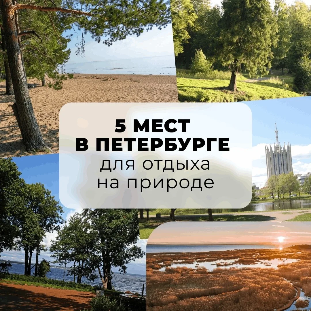 Лето и тёплая погода — хороший повод, чтобы выехать на природу.

🌳 Собрали в карточки зелёные места