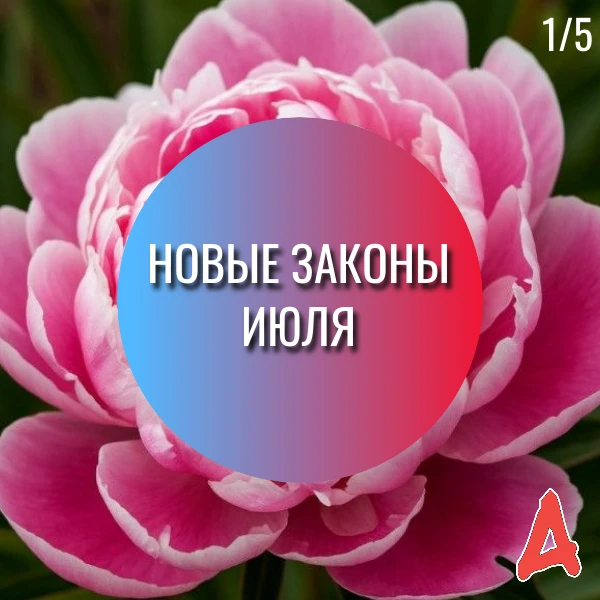 🗓️ Сегодня 1 июля - рассказываем о законодательных новшествах, которые вступают в силу...