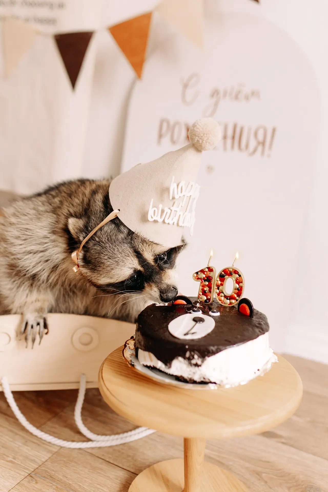 С днём рождения, мой любимый меховой комочек ❤️🎂