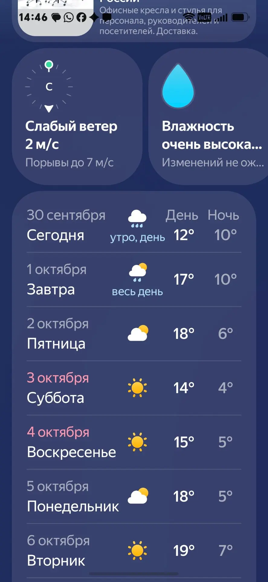 Идёт дождь, но обзор ёлочки по запросу сняла видео