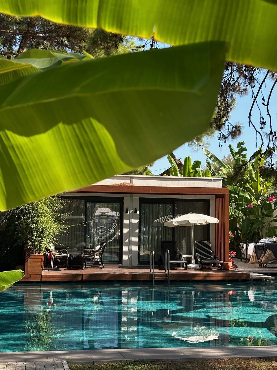 ну какой 🤌🏻

ТУРЦИЯ, КЕМЕР 🇹🇷
CLUB MARCO POLO 5
территория напоминает ботанический сад, сосны и 