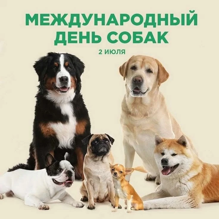 🎉 2 июля в группе "Ромашка"  прошёл весёлый и познавательный "День собак!" 🐶