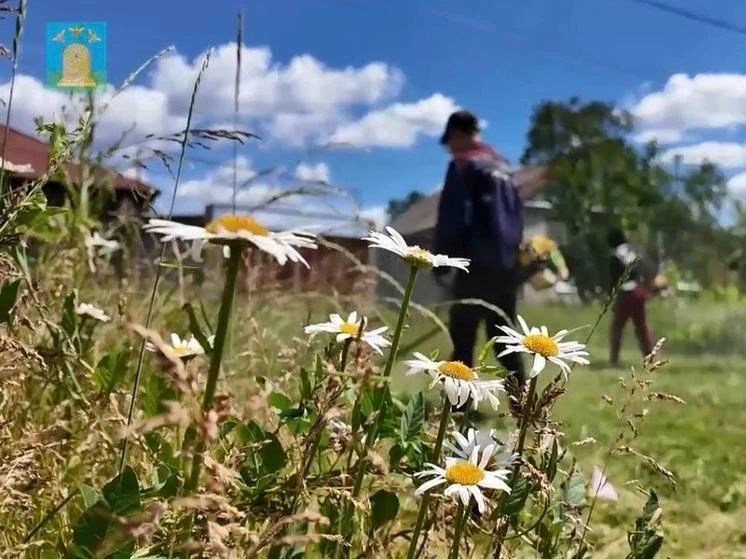 В Тамбове продолжаются активные работы по благоустройству города. 15 июня городские слу...