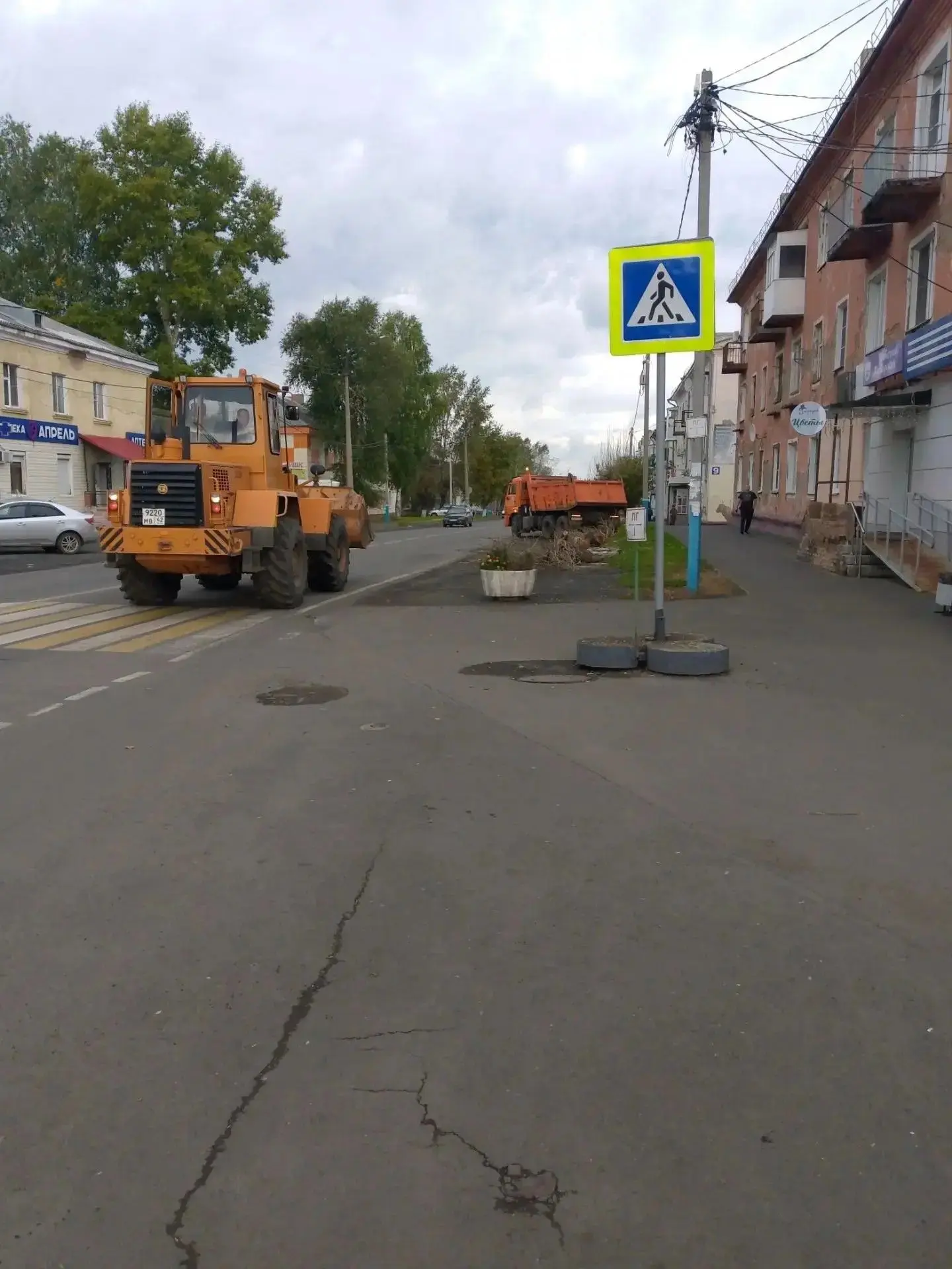 Вырубка аварийных деревьев на ул. Карбышева в п.ш. Березовская